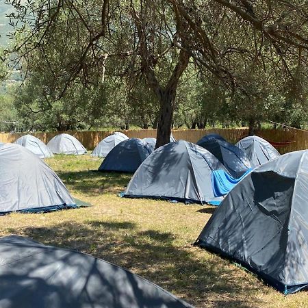 Borsh Olive Camping Hotel Exterior photo