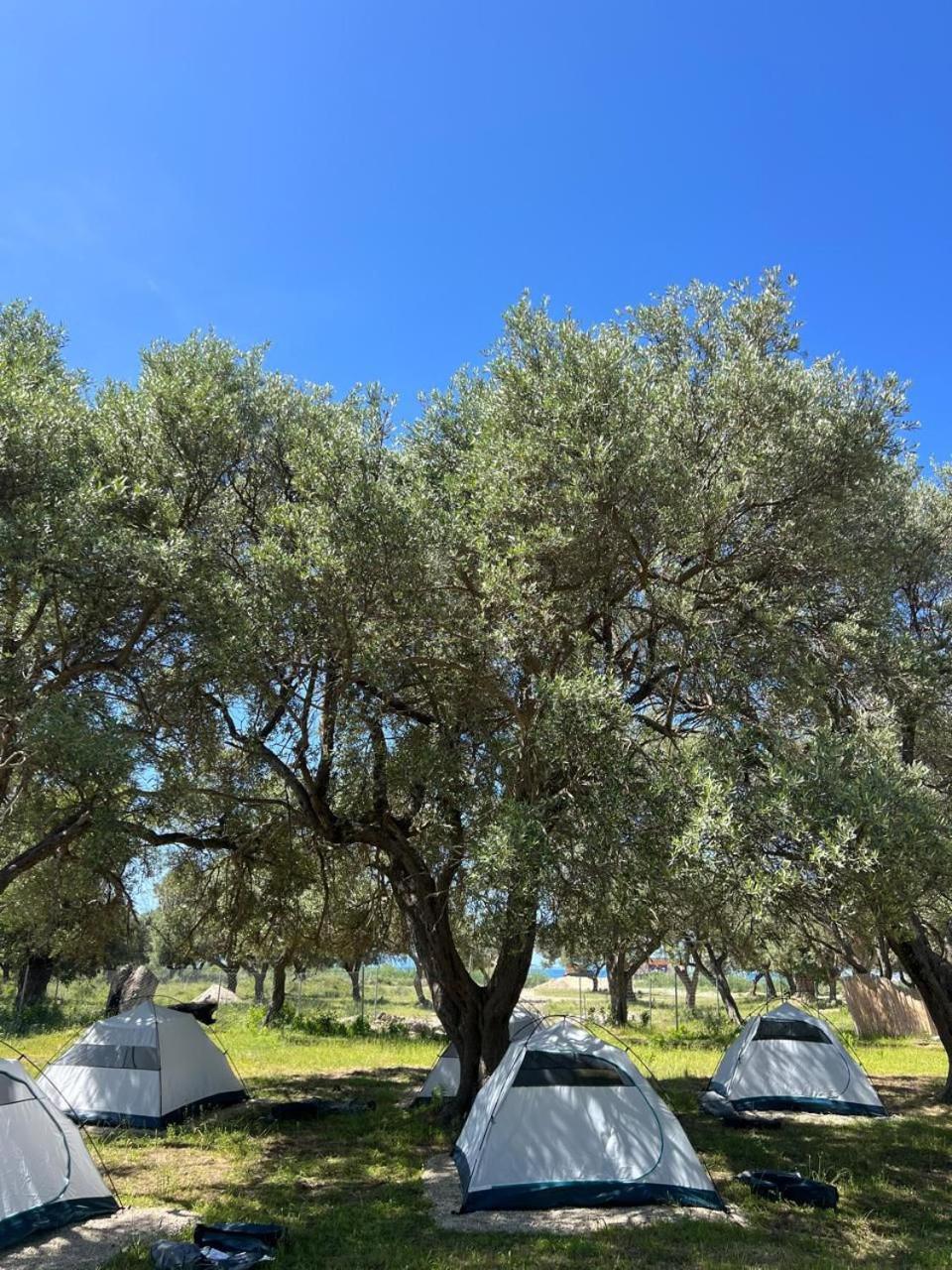 Borsh Olive Camping Hotel Exterior photo