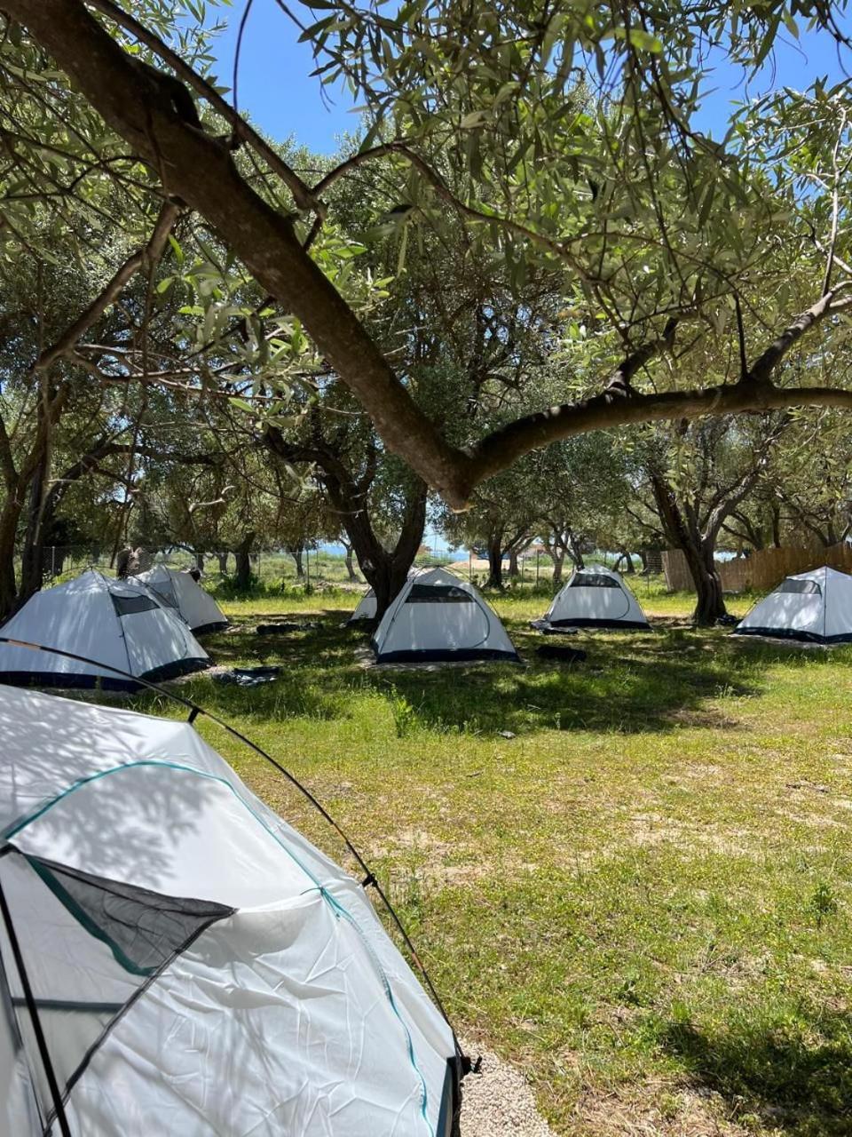 Borsh Olive Camping Hotel Exterior photo