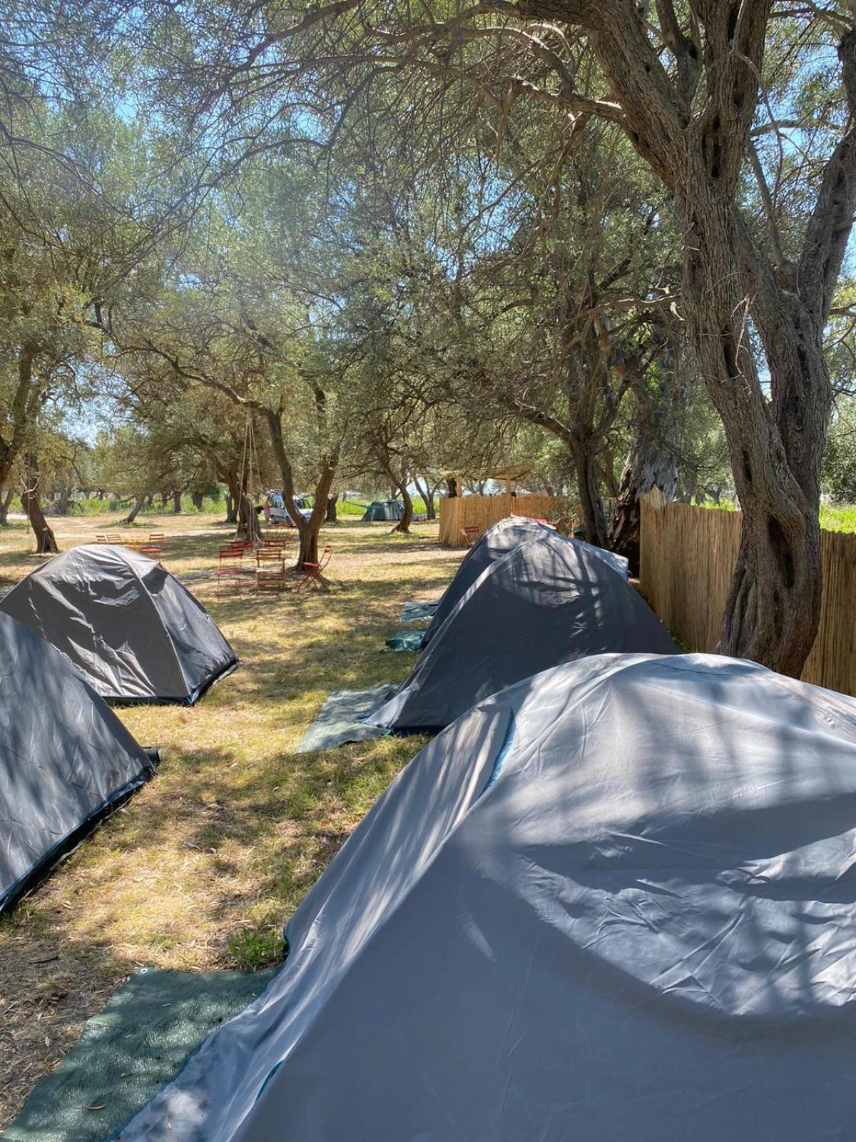 Borsh Olive Camping Hotel Exterior photo