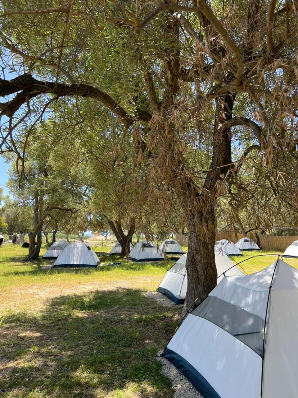 Borsh Olive Camping Hotel Exterior photo